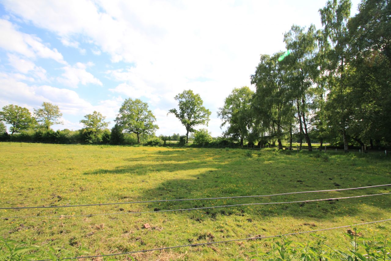 Ein Paradies am Wasser: Ihr Traumgrundstück wartet auf Sie! 